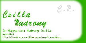 csilla mudrony business card